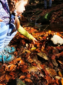 Přes tři studánky