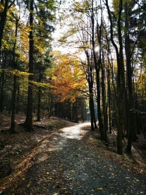 Přes tři studánky